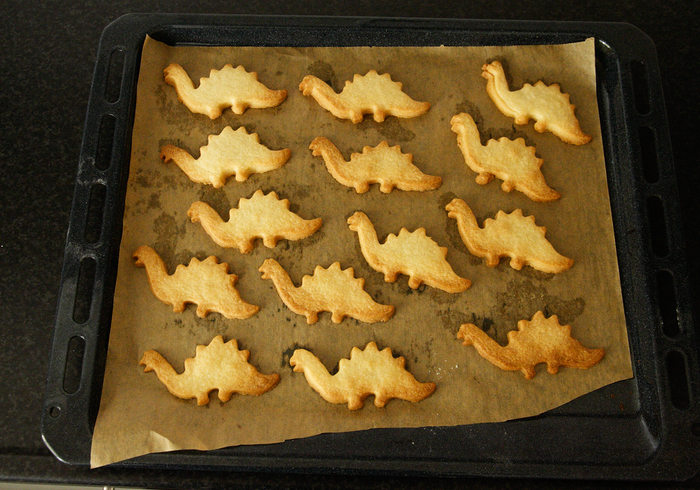 Dinosaur biscuits 06