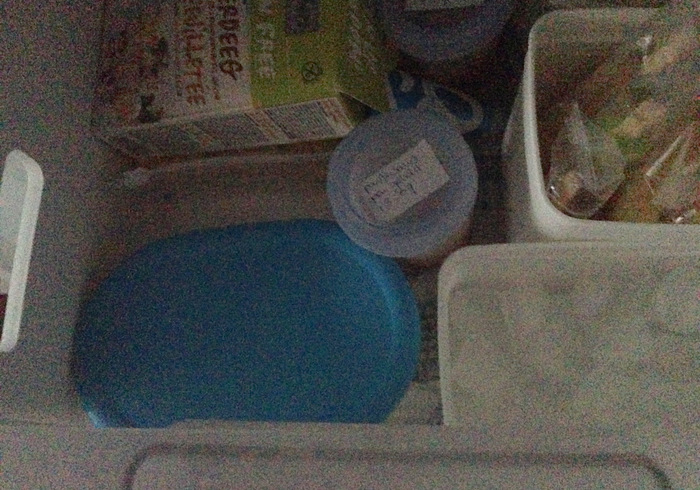 Roomijs ice cream 14