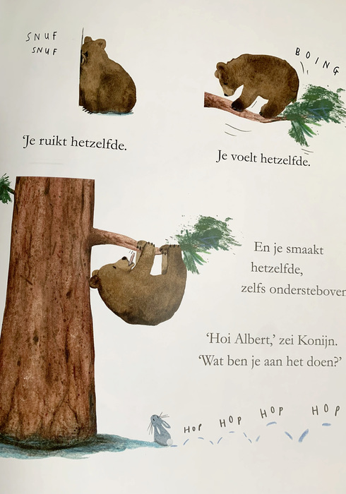 Albert's boom 03