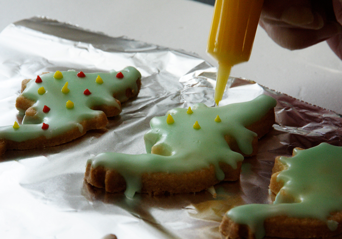 Dinosaur biscuits 11