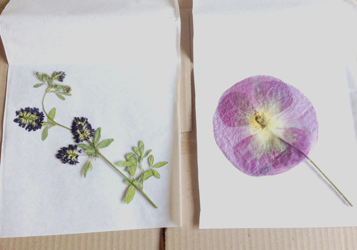 Lantaarn droogbloemen 04