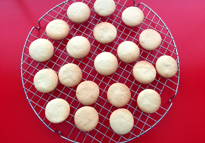 Winter biscuits 16