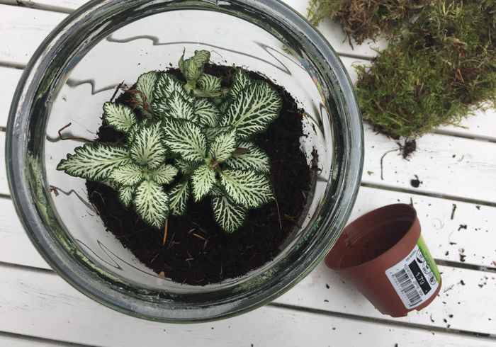 Mini kaboutertuintje 03