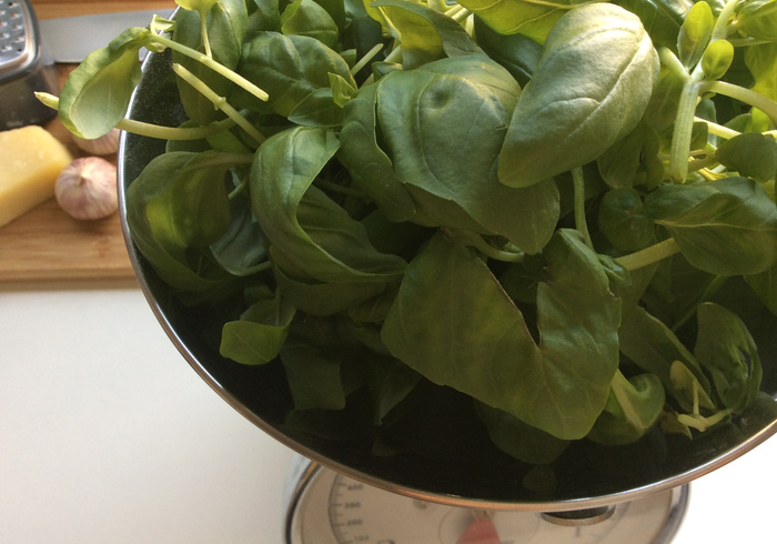 Basilicum pesto 01