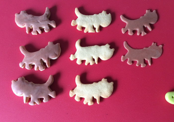 Fiep koekjes 12