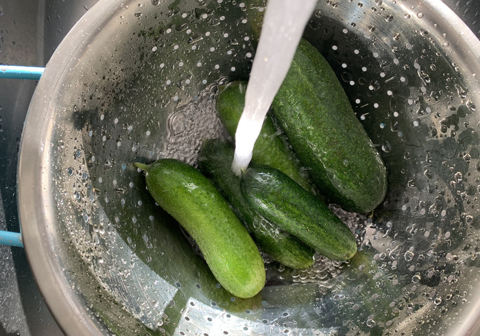 Augurken inmaken 01