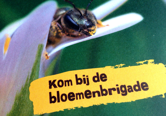 Wilde bloemenbrigade 02