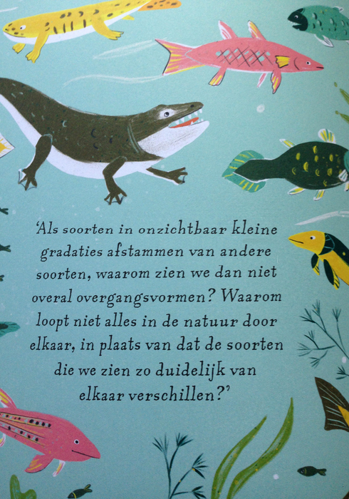 Het verhaal van de reuzenschildpad 02