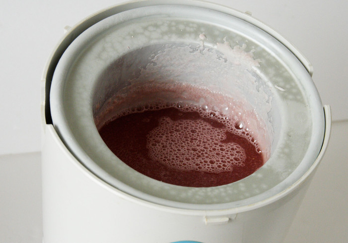 Watermeloen sorbet 07