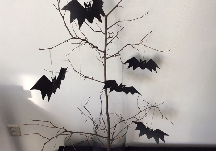 Bats home