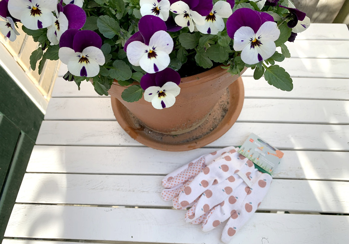 Lente shopping tips 01