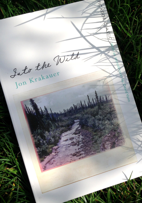 04. into the wild