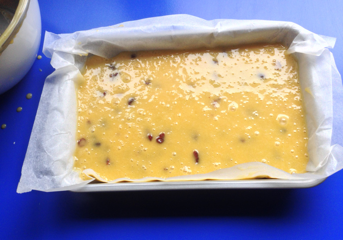 Cranberry blondies 12