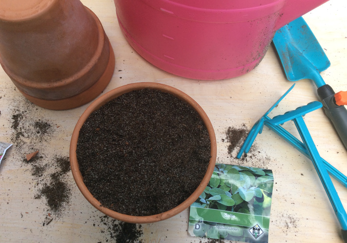 Moestuin 03