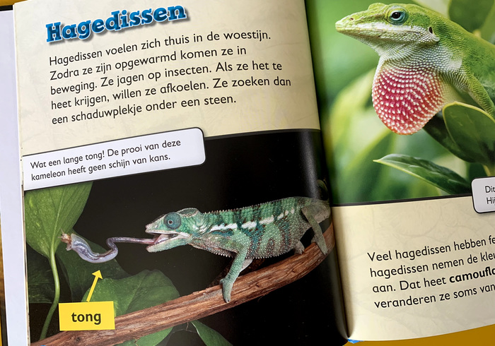 Reptielen 02