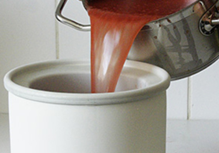 Watermelon sorbet 07