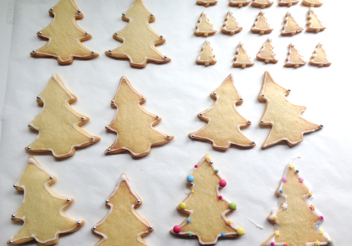 Christmas trees 16