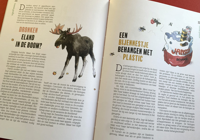 De reuzenkraak is liever lui 02