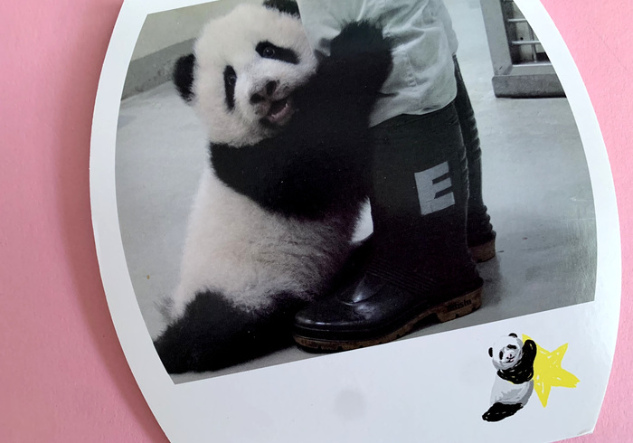 Yuan zai 1 jaar 02