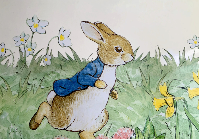 Peter rabbit easter surprise 02