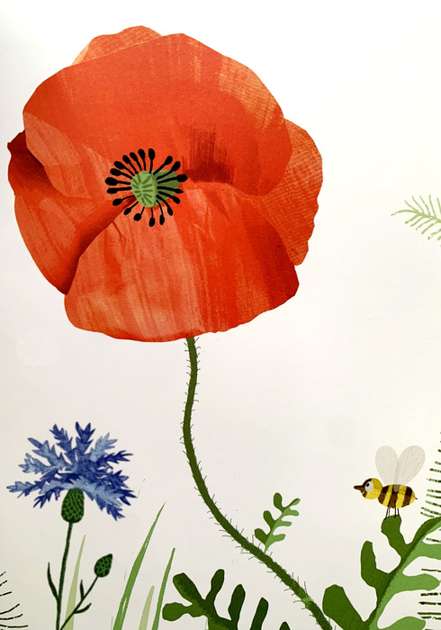 Poppys plekje 03