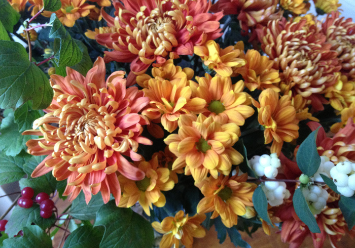 Herfst materiaal 05