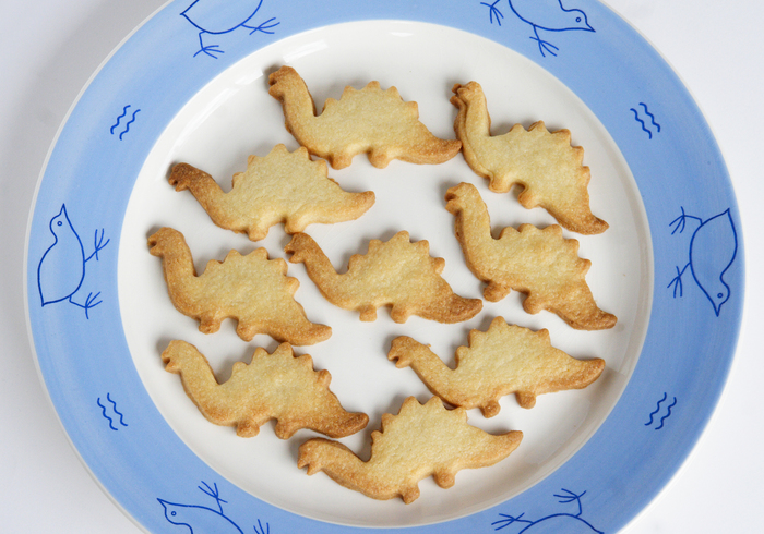 Dinosaur biscuits 07