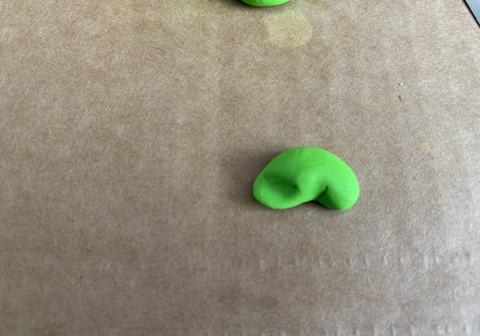 Zeeschildpadjes 10