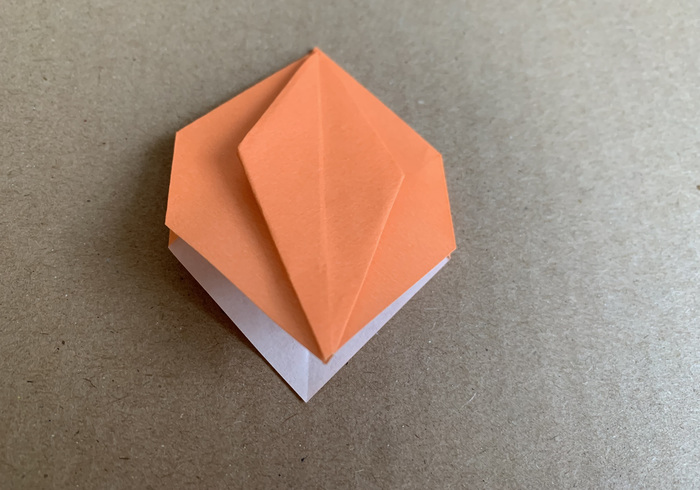 Origami pompoenen 17