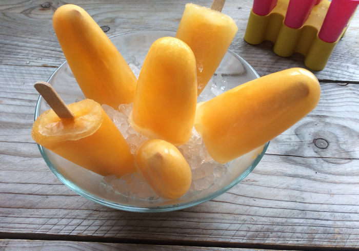 Sunny ice lollies sidepic ll