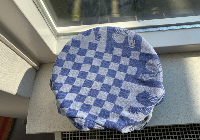 Broodhaasjes 11