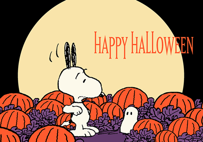 Snoopy halloween 2017