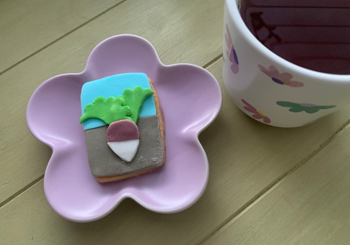 Dag vd aarde koekjes sidepicll