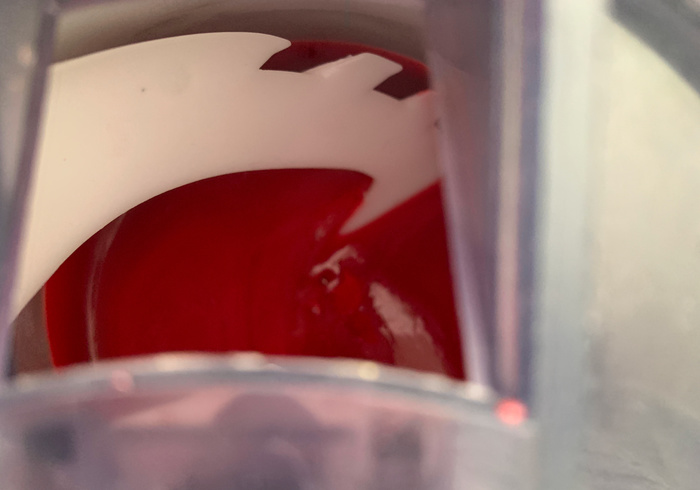 Rasberry sherbet 11