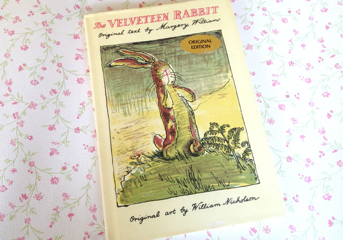 Velveteen rabbit home