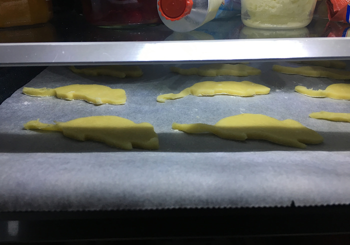 Muizenkoekjes 11