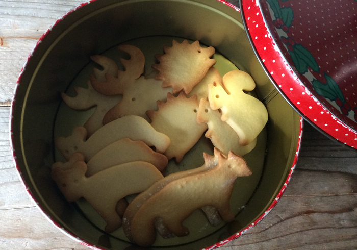 Winterkoekjes dieren 16