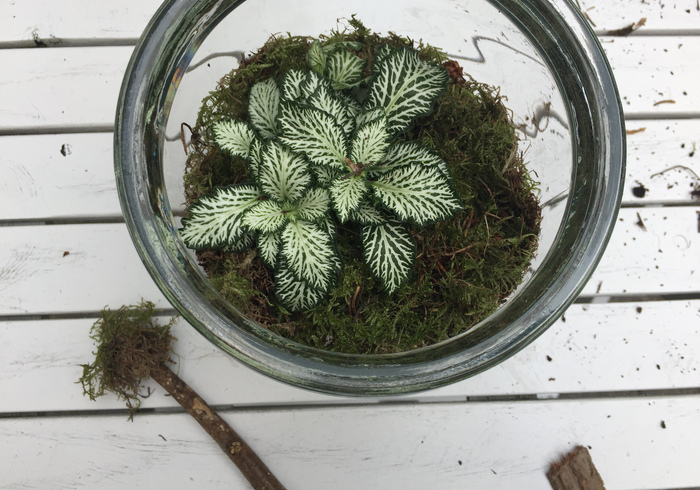 Mini kaboutertuintje 04
