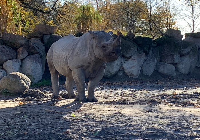 Blijdorp 35