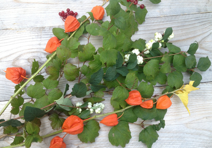 Herfst materiaal 04