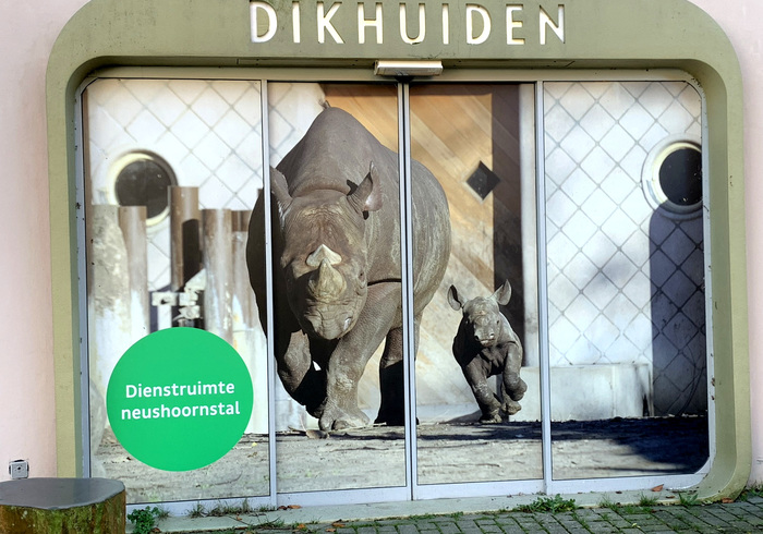 Blijdorp 33