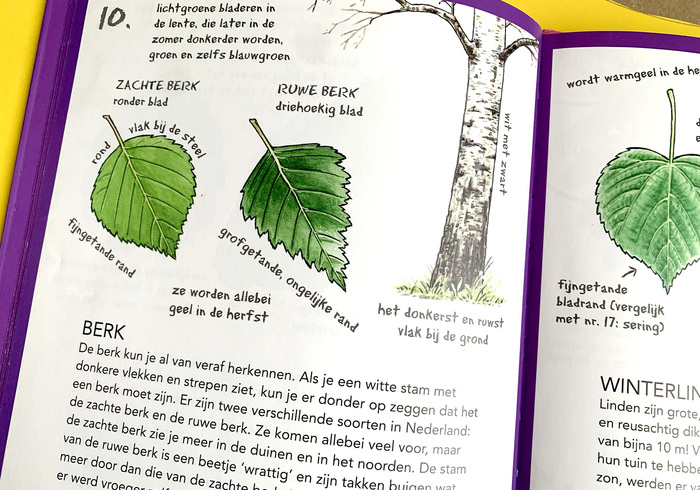 Ik ken al 25 bomen 01