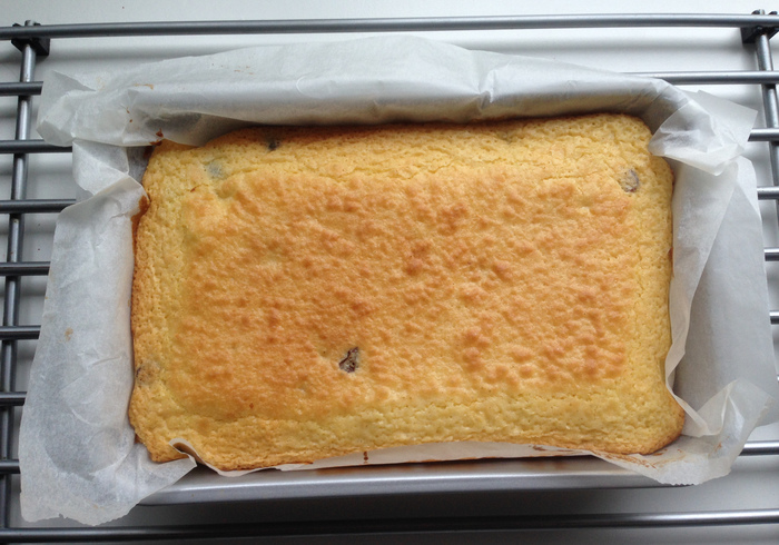 Cranberry blondies 14