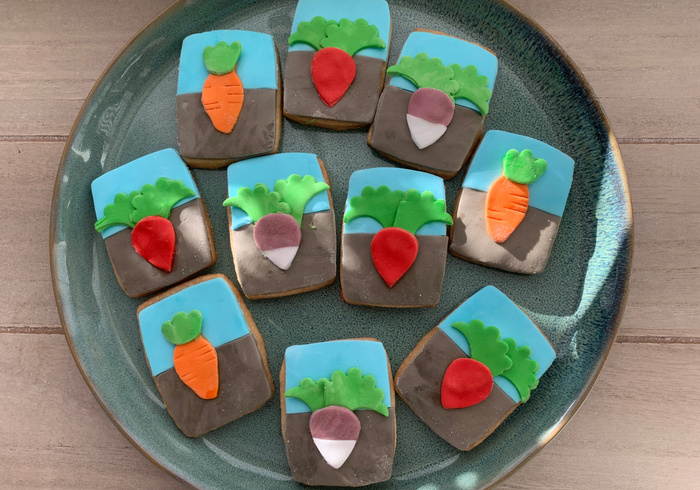 Dag vd aarde koekjes 12