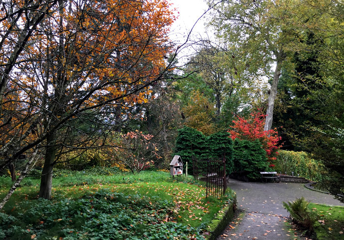 Arboretum trompenburg 16