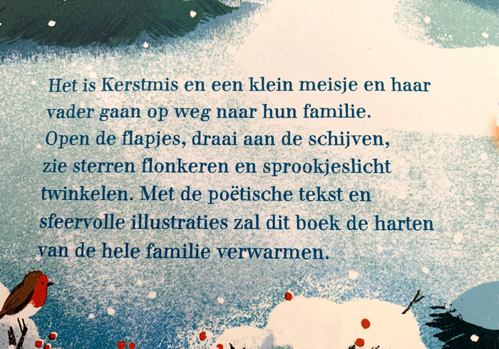 Kerstlichtjes sidepicll
