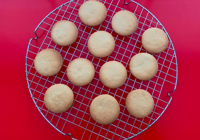 Dag van de aarde koekjes 10