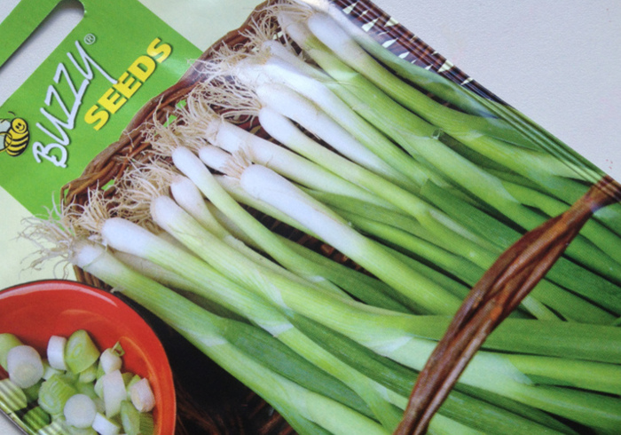 Spring onion side