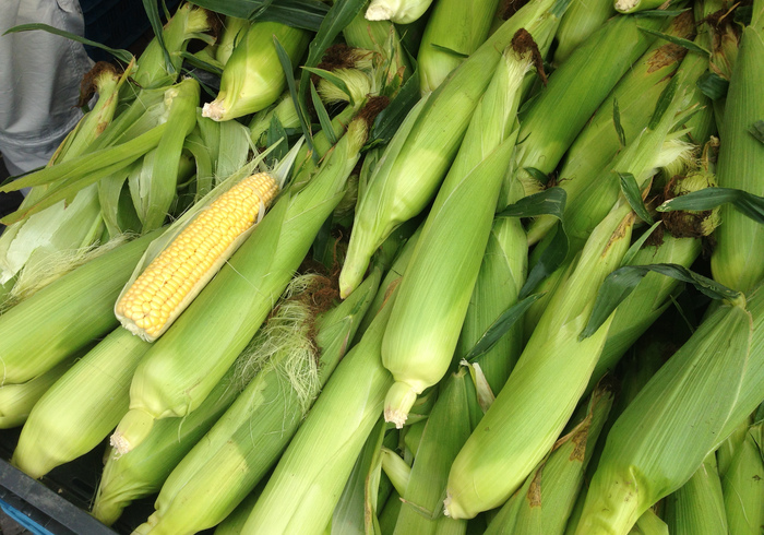 Corncobs side pic