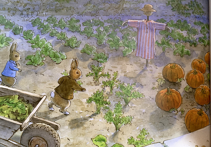 Peter rabbit and the pumpkin patch 02